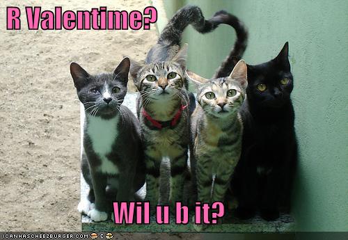 funny valentines day jokes. Posted by Valentine Cards at
